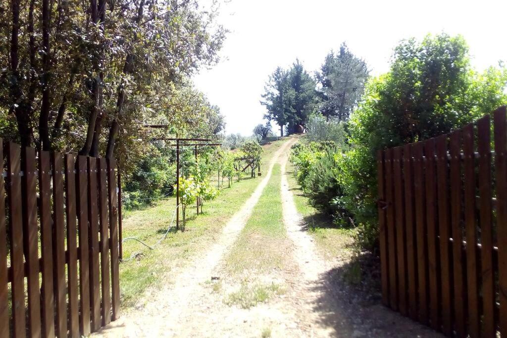 Casa Belvedere -Tranquillita Tra Bosco E Ulivi- Riparbella Exterior photo